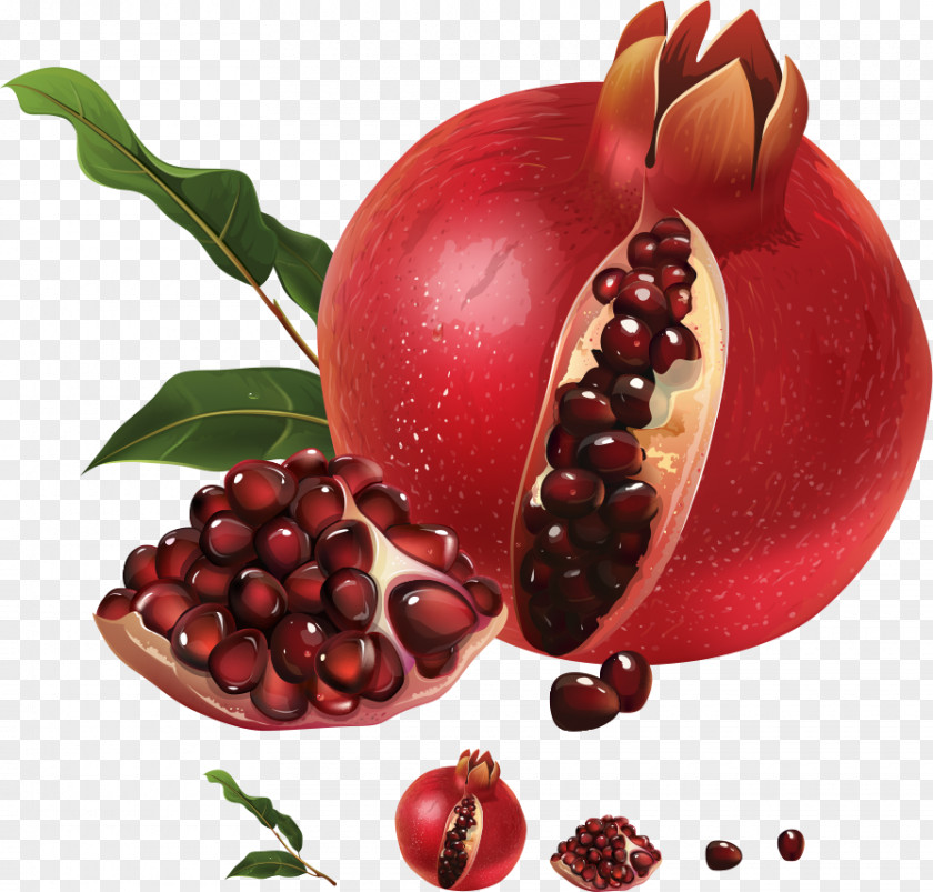 Vector Pomegranate Juice Illustration PNG