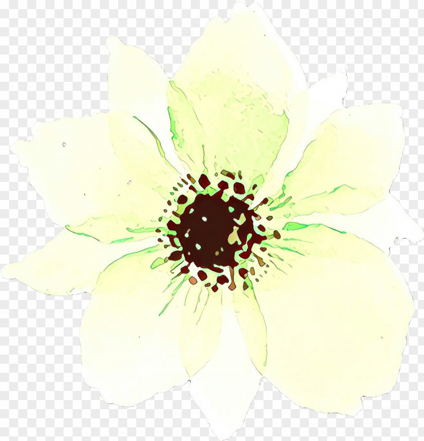 White Flower Petal Plant Watercolor Paint PNG