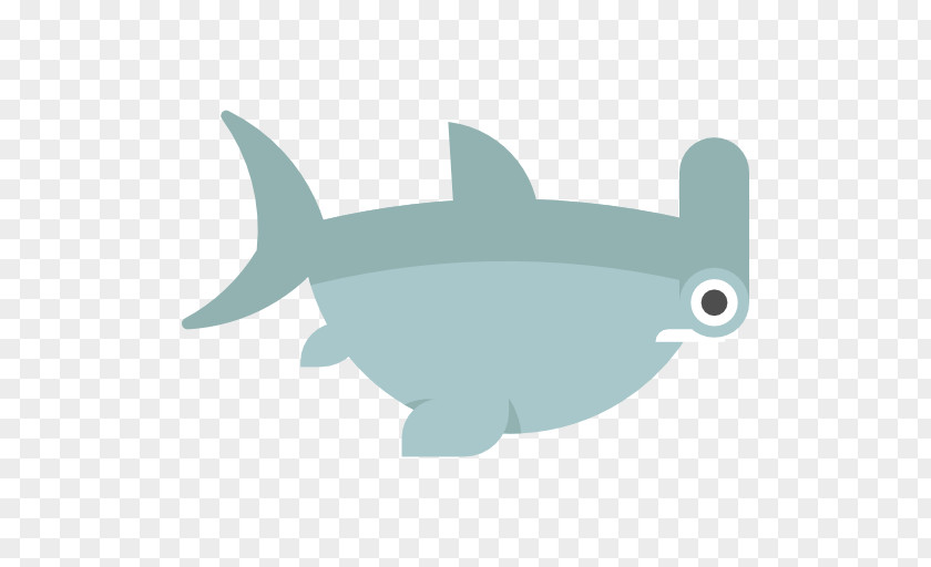 Aquatic Animal PNG