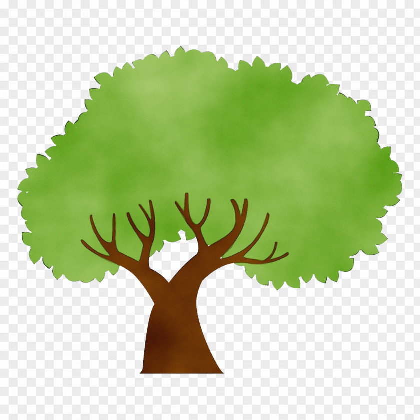 Arbor Day Plant PNG