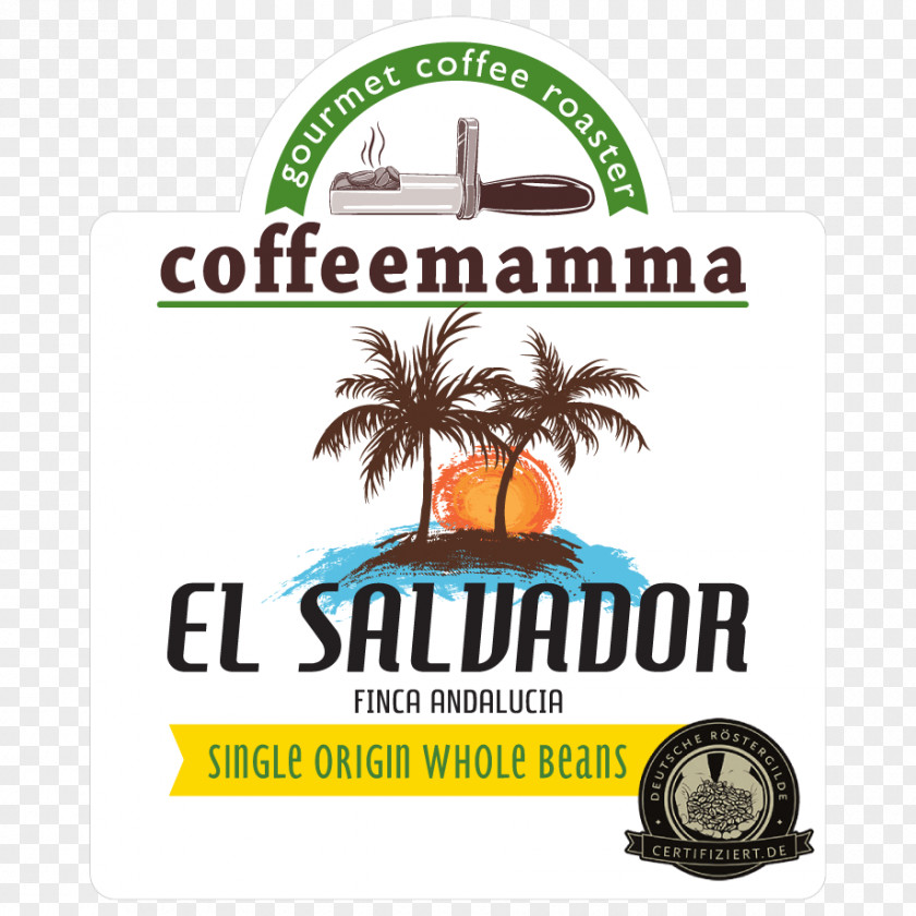 Coffee Moka Pot Espresso Cafe Tchibo PNG