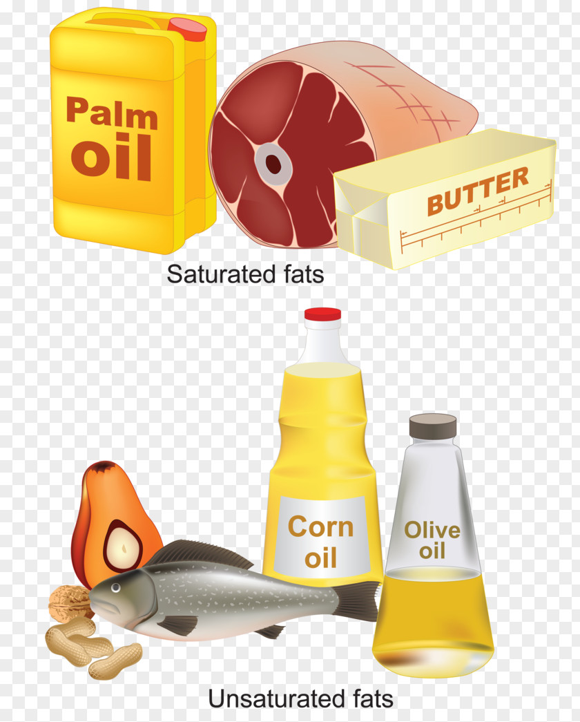 Examples Of Saturated Fats Unsaturated Fat And Compounds Fatty Acid PNG