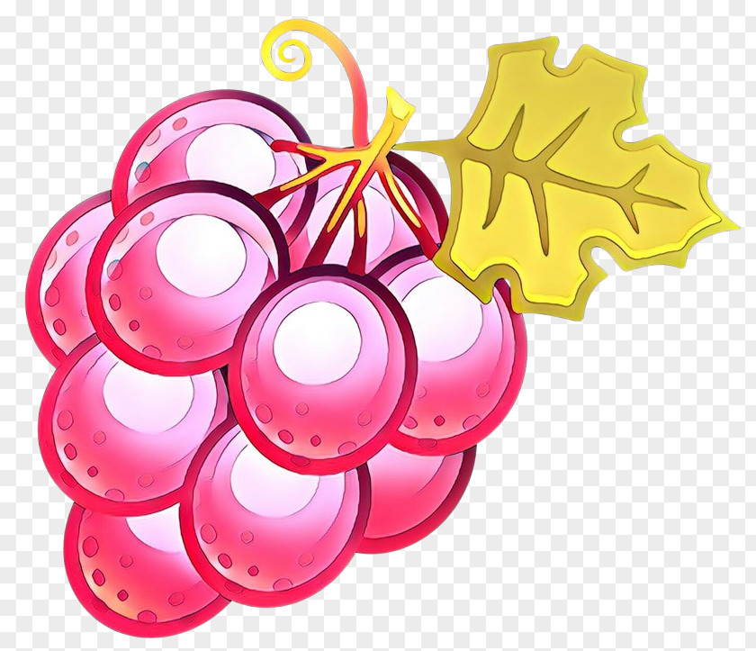 Grapevine Family Magenta Pink Clip Art Grape Plant Vitis PNG