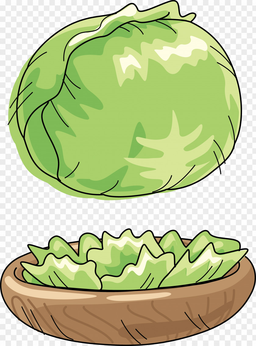Green Cabbage Watermelon Vegetable Cartoon Clip Art PNG