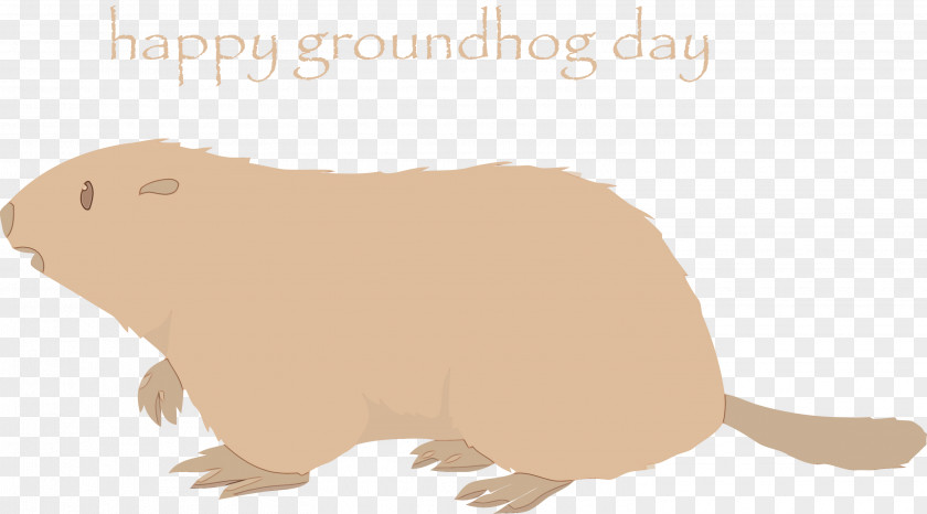 Groundhog Guinea Pig Marmot Beaver Animal Figure PNG