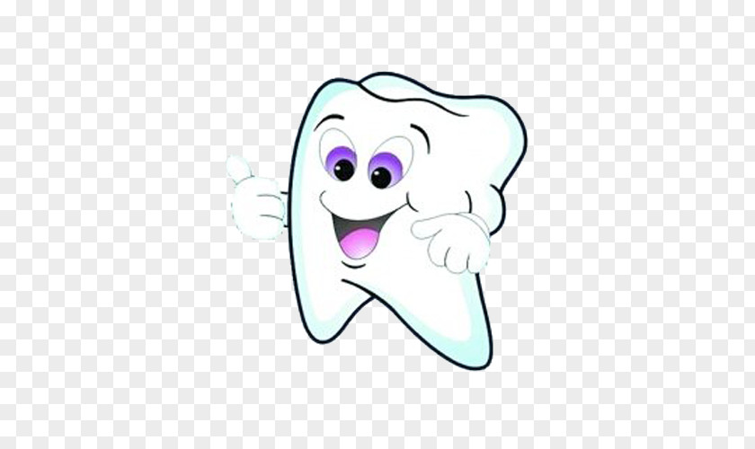 Healthy Teeth Tooth Mouthwash Dental Public Health Dentist PNG