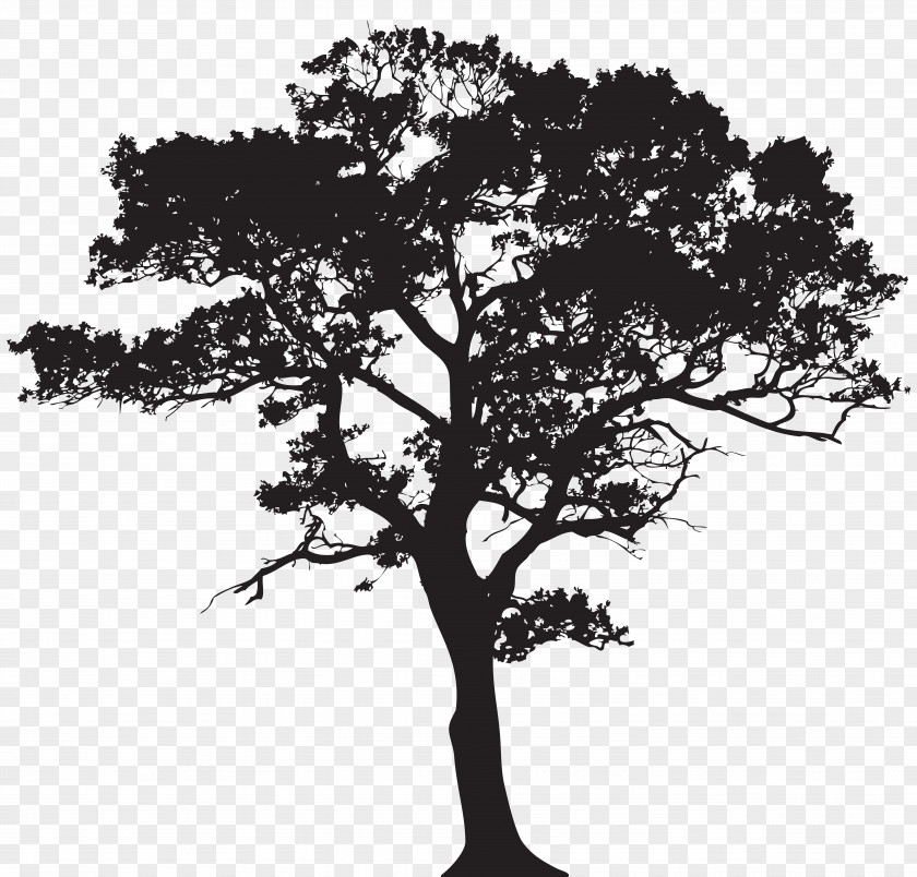 Silhouette Tree Clip Art Image PNG