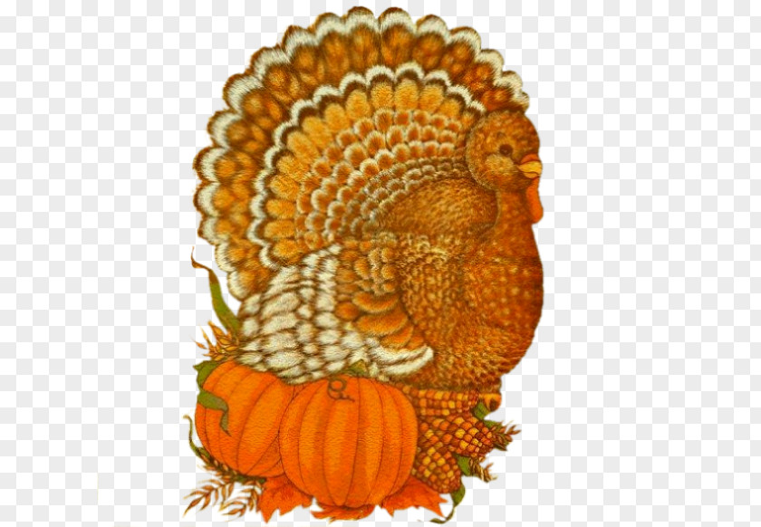 Thanksgiving GOURD+m Flower PNG