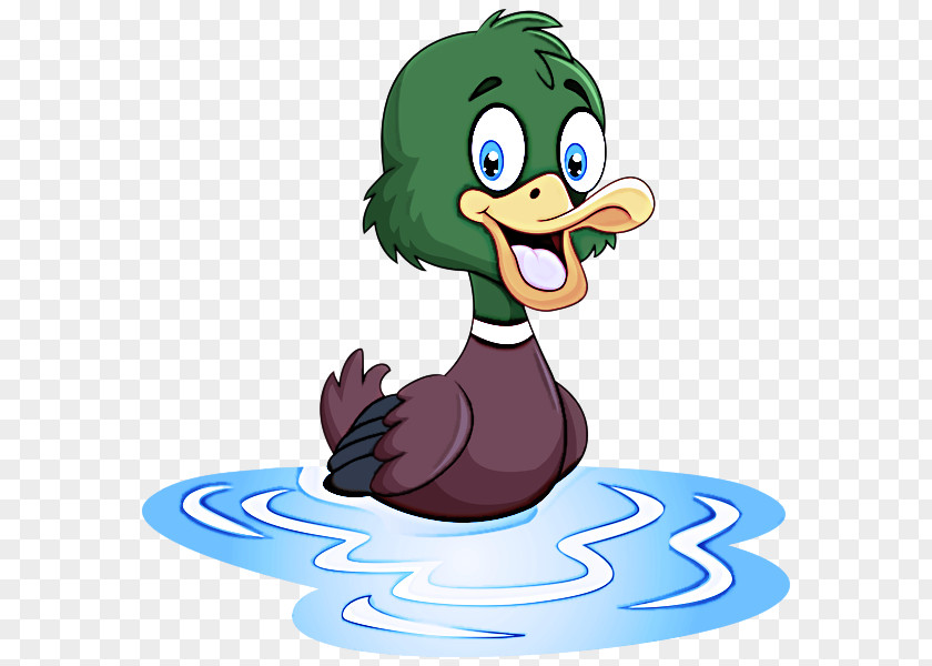 Birds Cartoon Beak Dodo Tit PNG