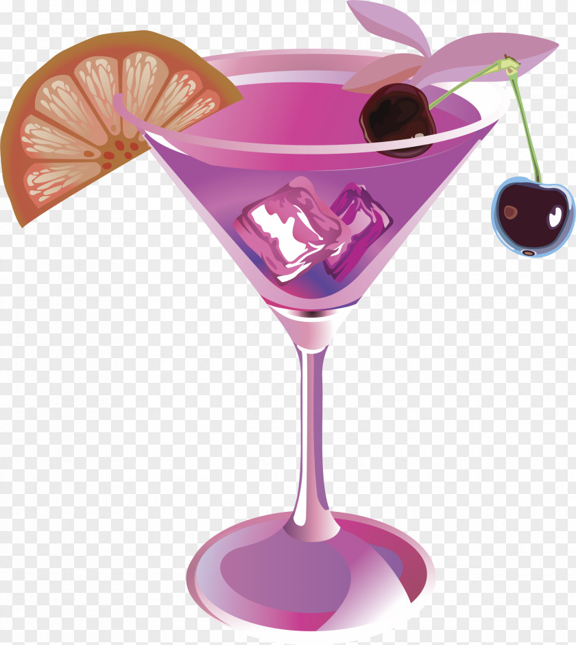 Cocktail Garnish Drink Wine Glass Martini PNG