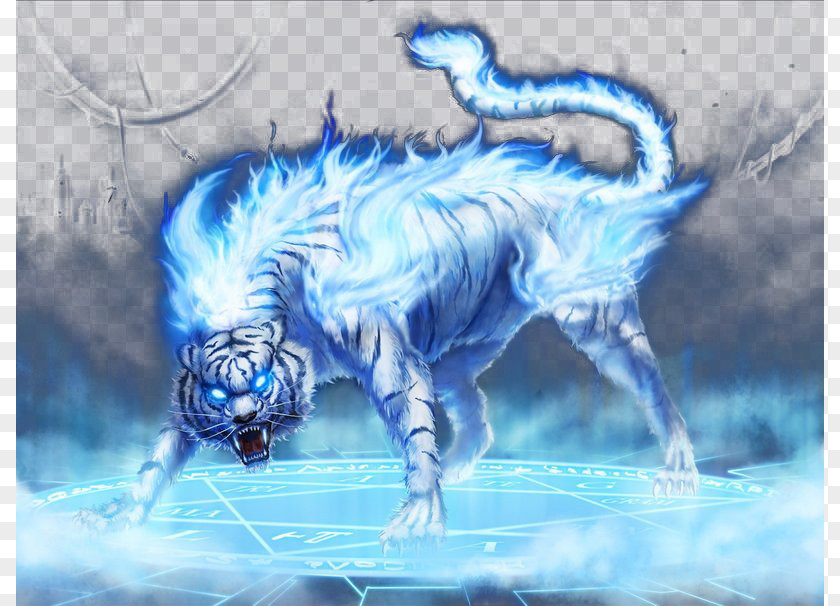 Flames White Tiger High-definition Television Download Wallpaper PNG