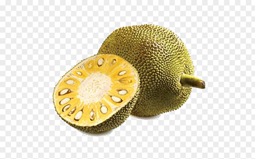 Radhika Apte Jackfruit Fruit Tree Gourd Tropical PNG