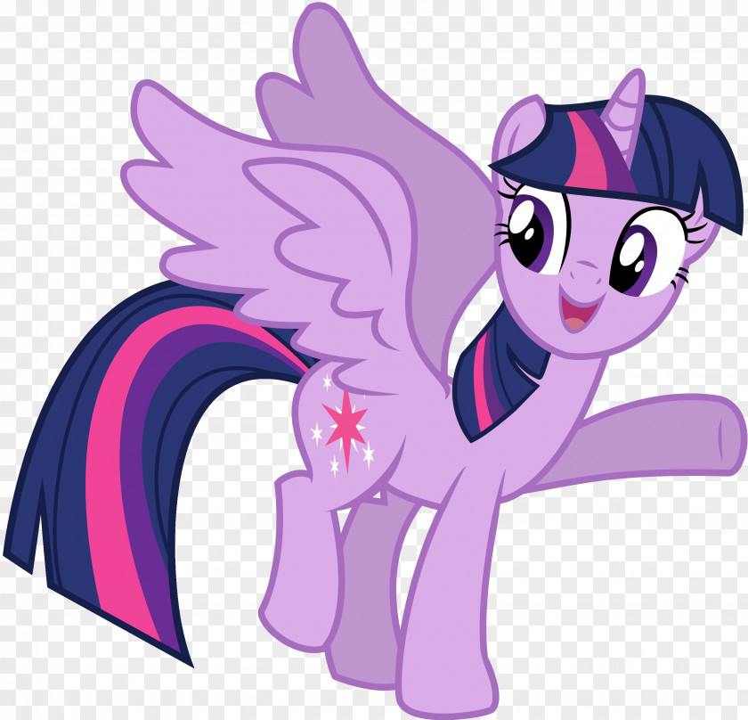 Sparkle Twilight Flash Sentry Pony Spike YouTube PNG