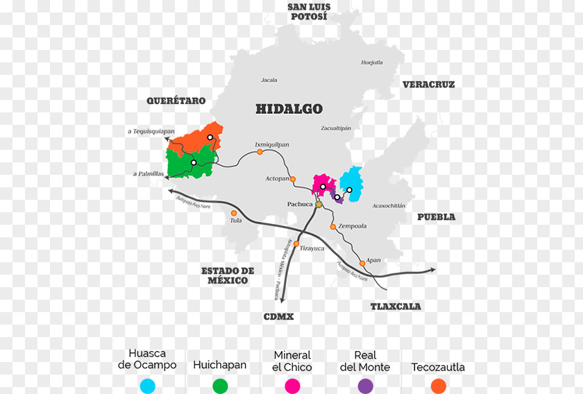 Tree Map Line Tuberculosis PNG
