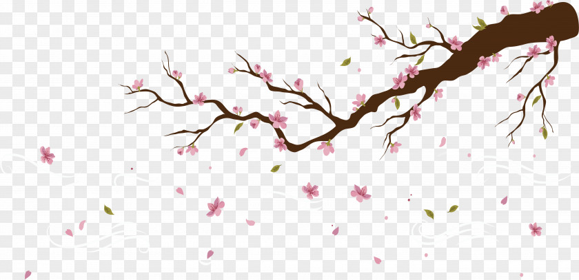 Falling Petals Of Peach Blossoms Cherry Blossom Petal PNG