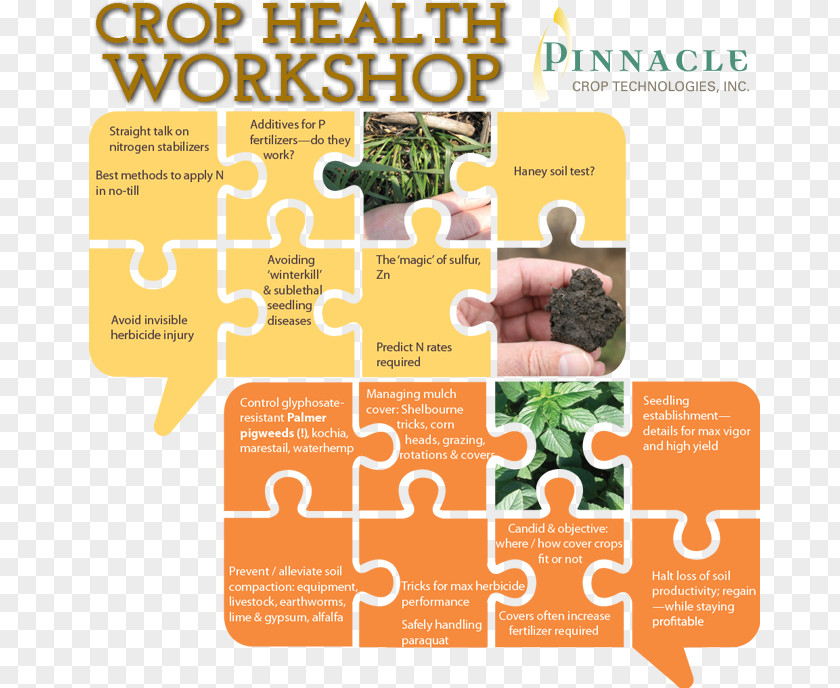 Pinnacle Wellness Nutrient Agronomy Horticulture News Crop PNG