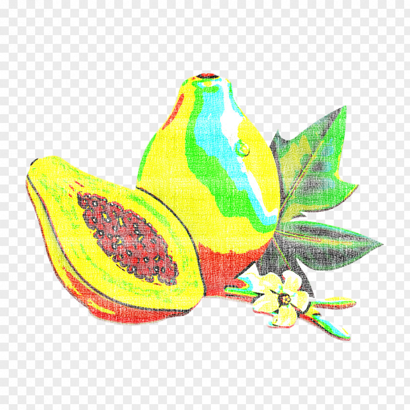 Yellow Pear Leaf Plant Fruit PNG