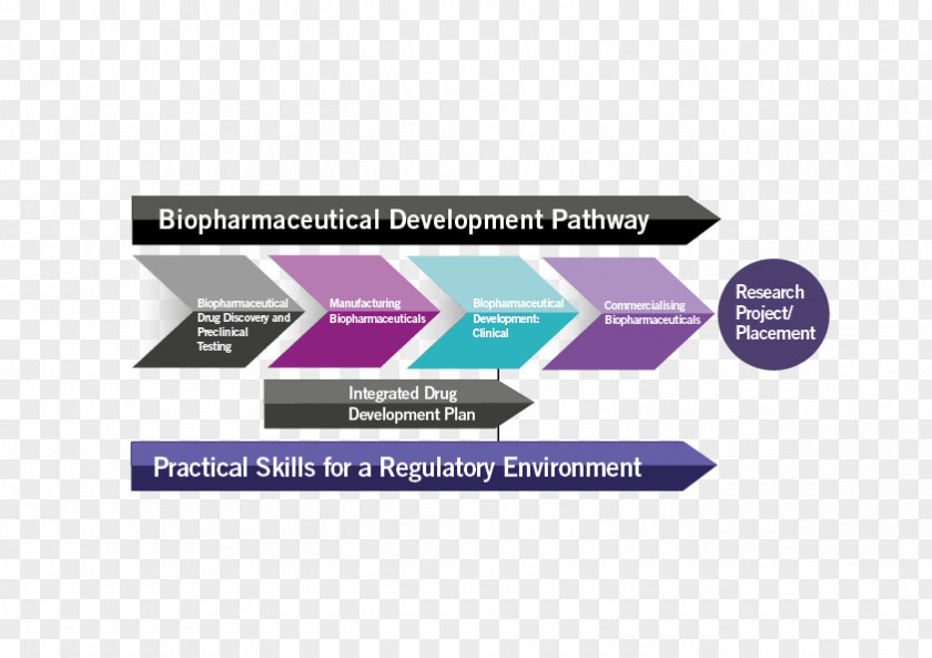 Biopharmaceutical Drug Development Biologic Pharmaceutical Industry Discovery PNG