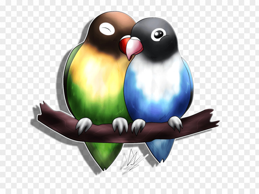 Bird Yellow-collared Lovebird Android Clip Art PNG