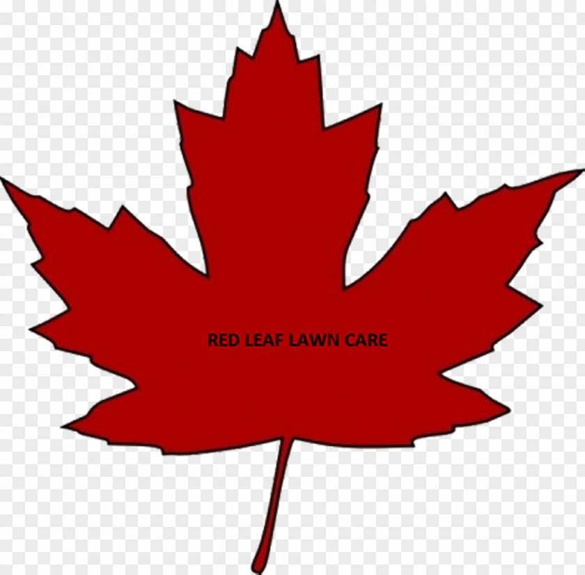 Canada Flag Of Maple Leaf PNG