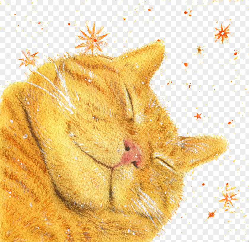 Cats Sleep Late Kitten Whiskers Tabby Cat PNG