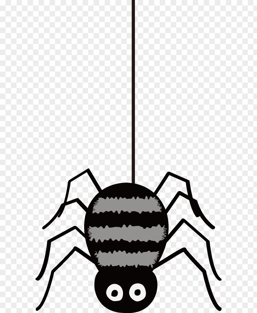 Insect Arachnid Spider Halloween PNG