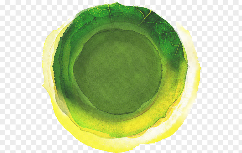 Plate Juice Evolution Fresh Circle Bowl PNG