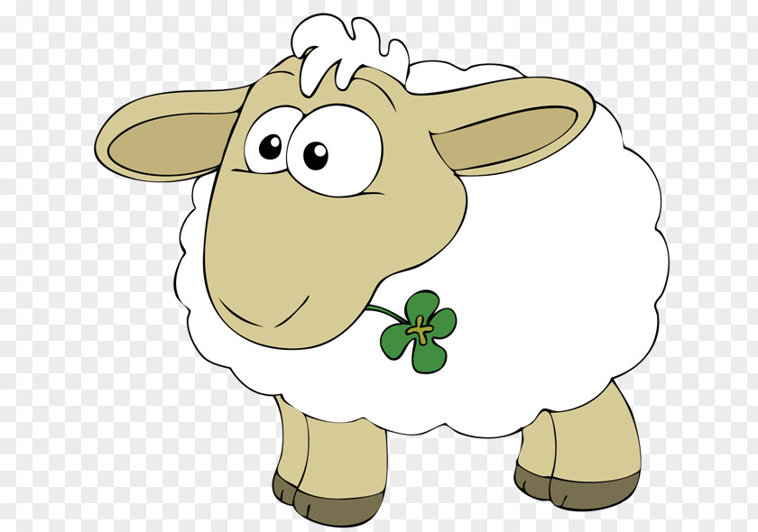 Sheep Sheep–goat Hybrid Cattle Clip Art PNG