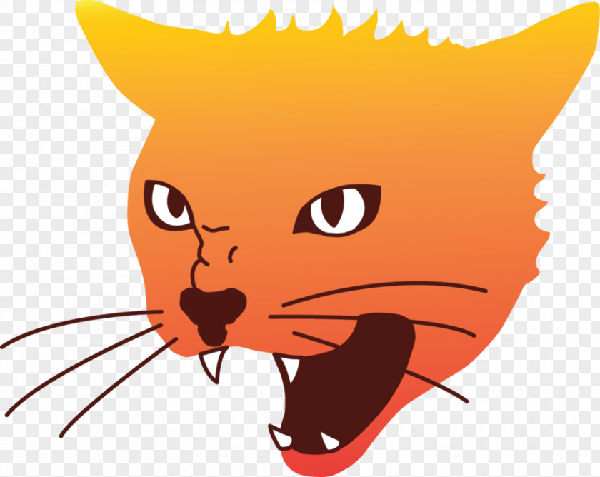 Cat Grumpy PNG
