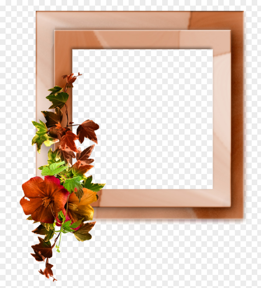 Digital Scrapbooking Picture Frames Photography Photo Frame PNG