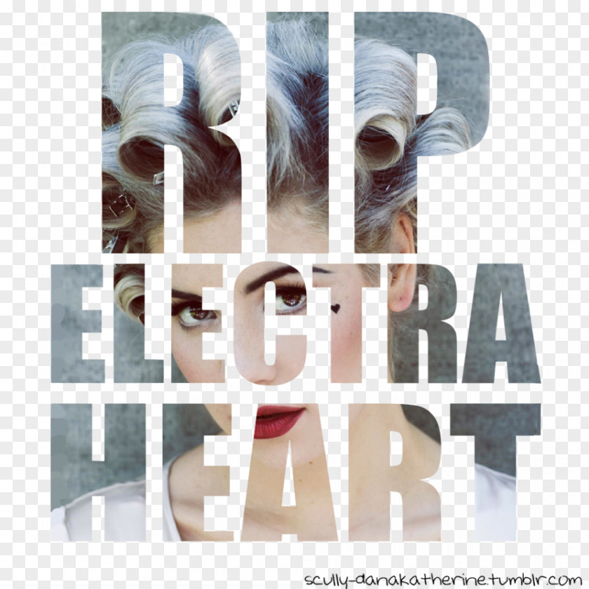 Electra Heart Graphic Design Froot Logo PNG