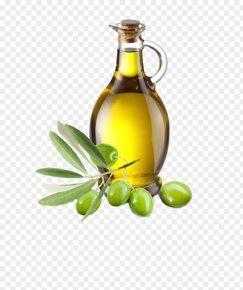 Oil Olive Holy Anointing Of The Sick In Catholic Church Sacraments PNG