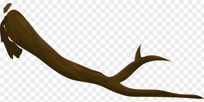 Tree Branch PNG