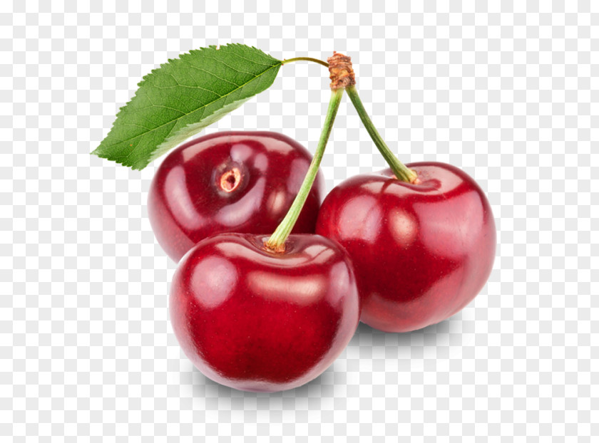 Cherry Fruit Clip Art PNG