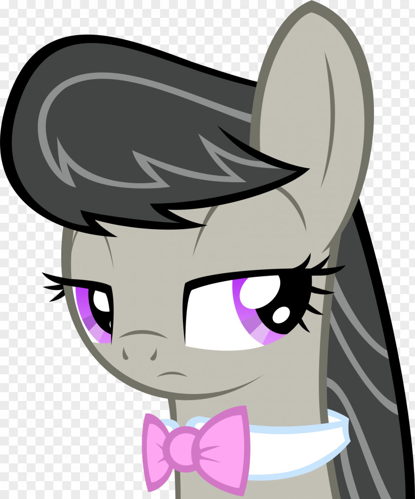 Derpy Hooves Pony Applejack Equestria PNG