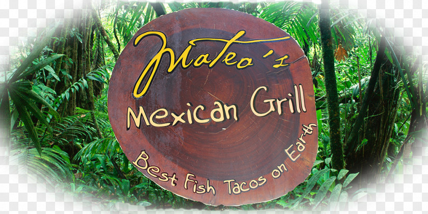 Fish Grill Mateos Amazon Rainforest Fin Garden Puzzle Teaching Restaurant PNG