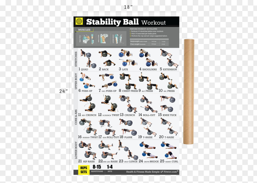 Fitness Posters Dumbbell Bodyweight Exercise Weight Training Equipment PNG