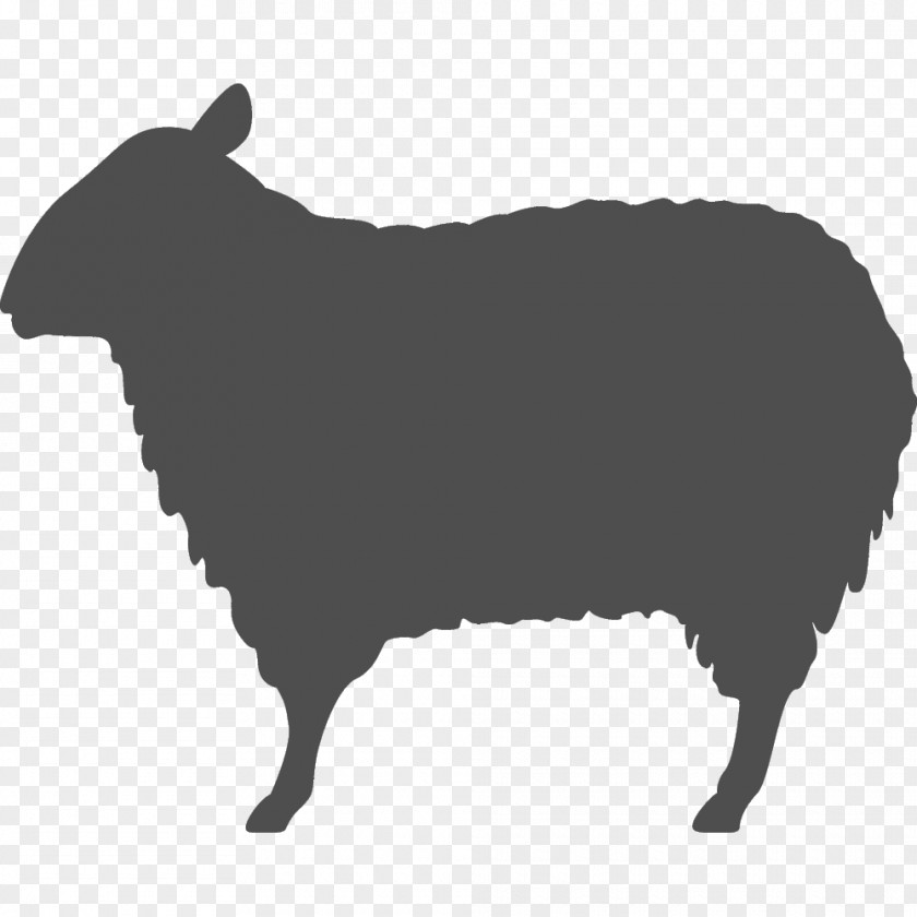 Mutton Hotpot Sheep Résumé Template PNG