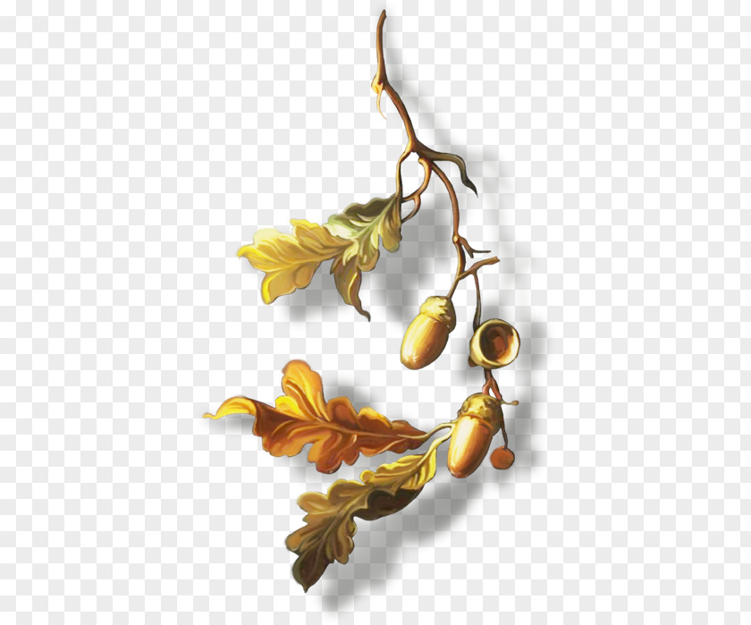 Oak Leaf Branch PNG