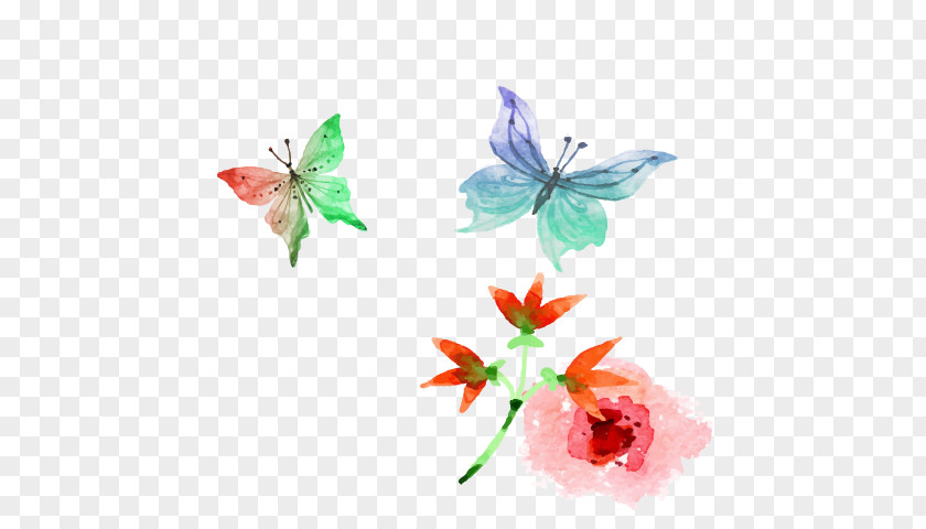 素材中国 Sccnn.com 7 Butterfly Design Adobe Photoshop Watercolor Painting PNG