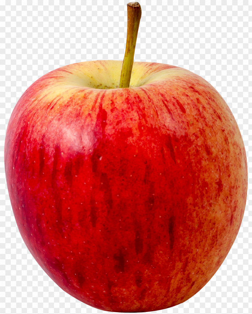 Apple Fruit PNG