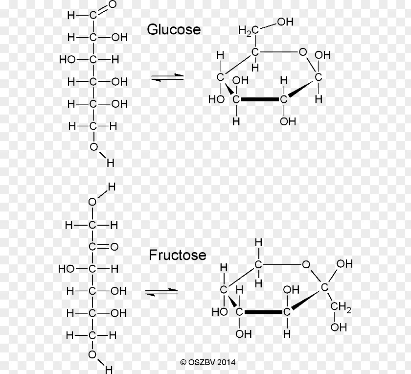 Fructose /m/02csf Drawing Glucose Car PNG