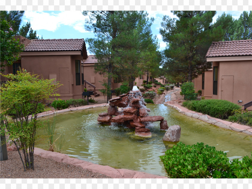 Tree Backyard Pond Water Feature Resources Property PNG