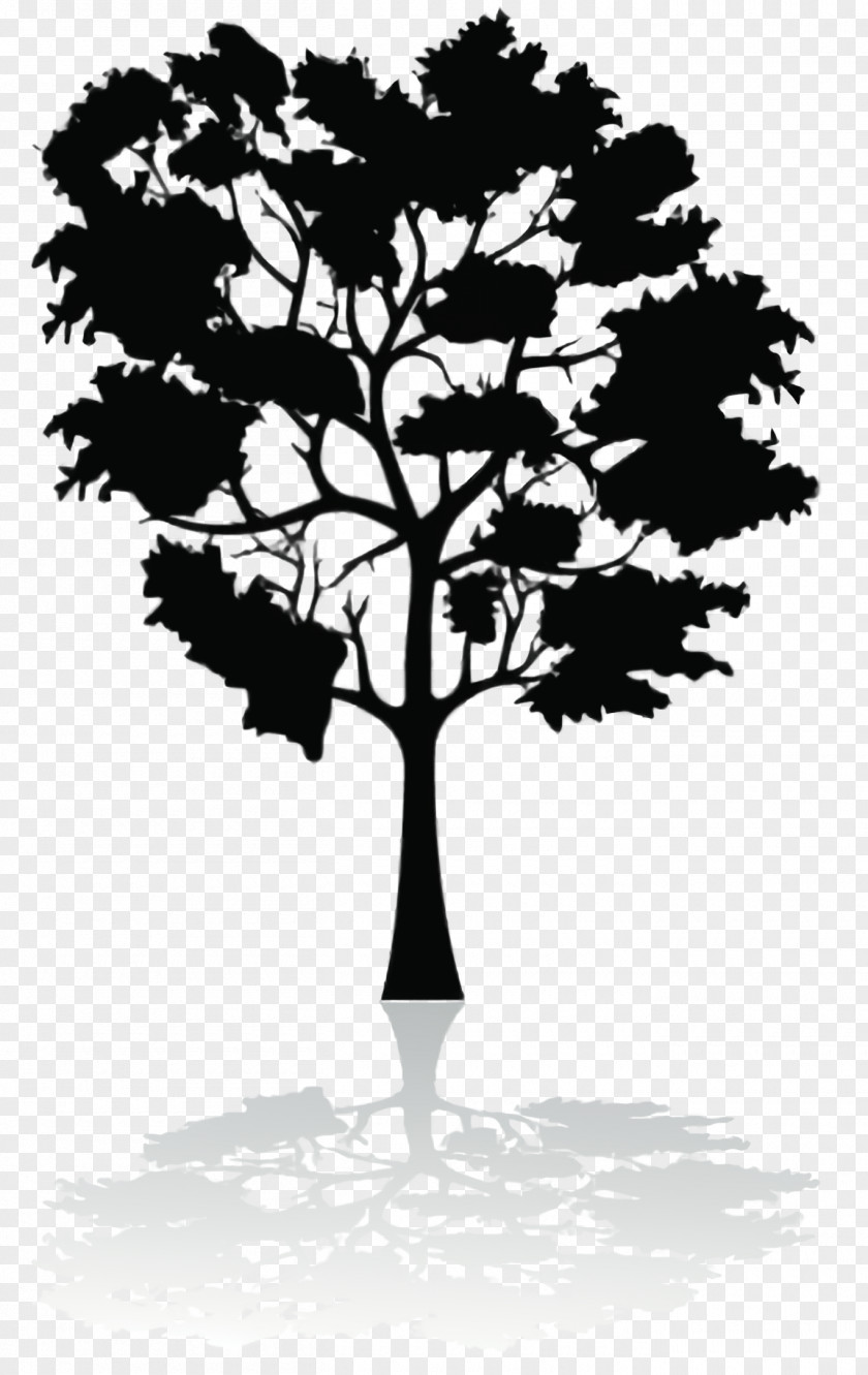 Trunk Deciduous Black And White Flower PNG