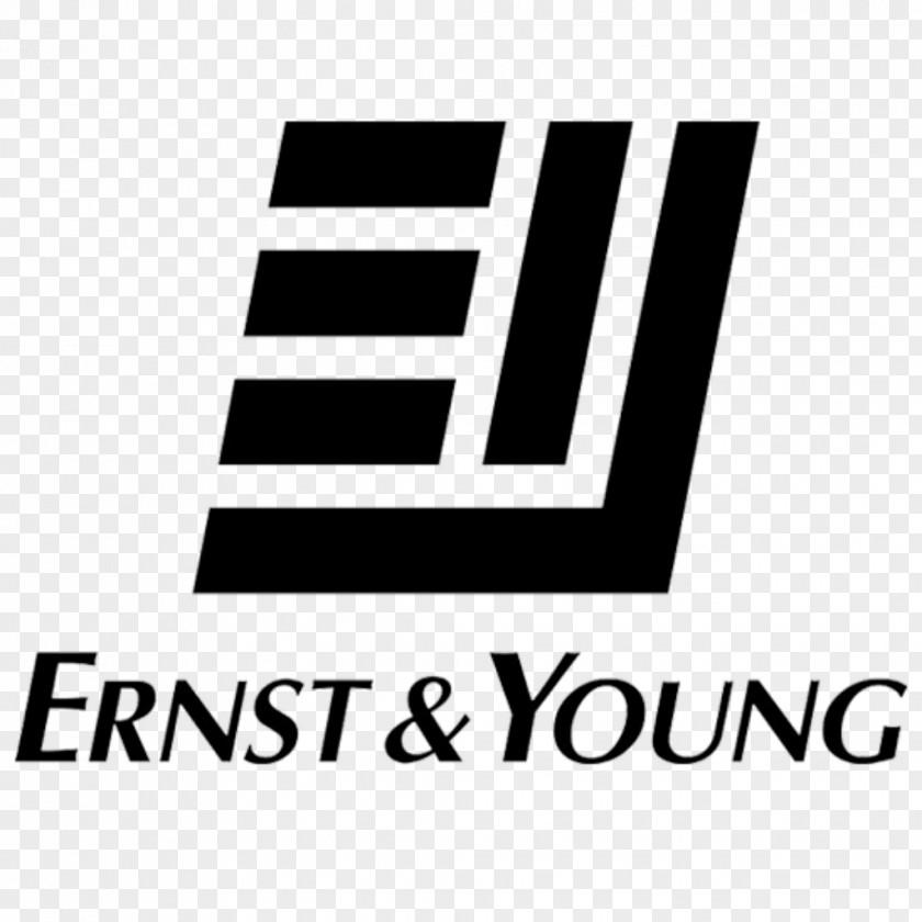 Business Ernst & Young, Papua New Guinea Young Entrepreneur Of The Year Award Accounting PNG