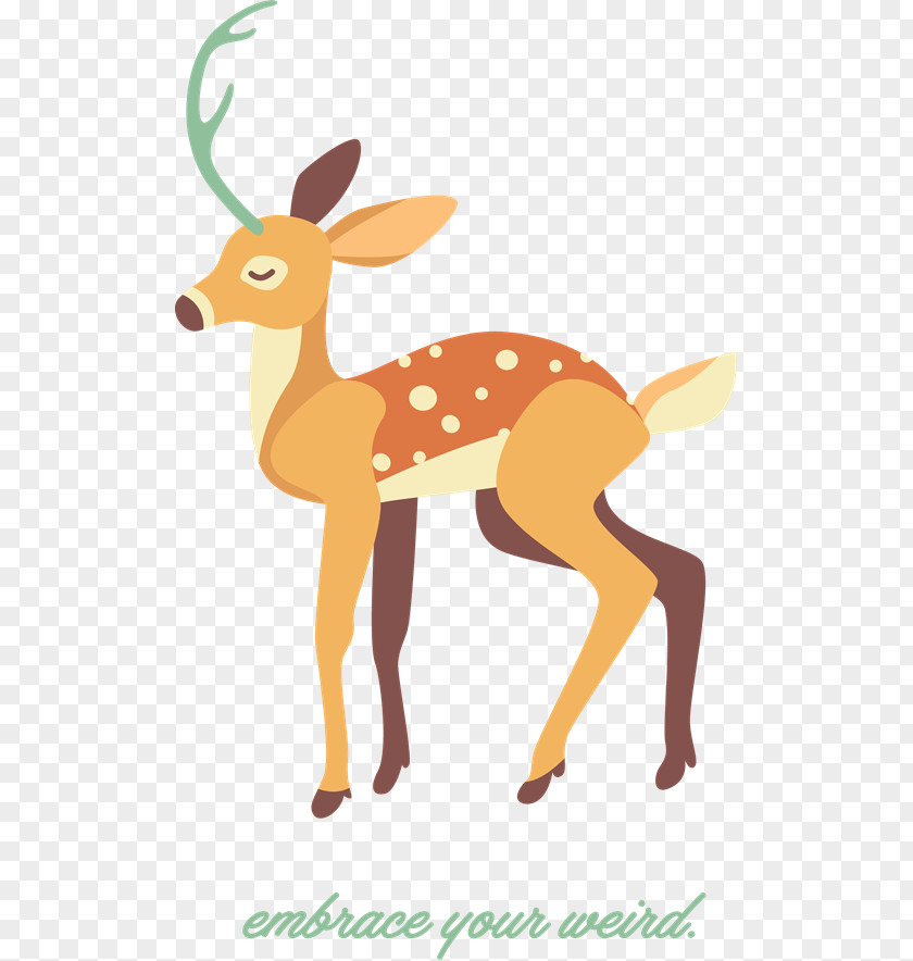 Reindeer Clip Art Antler Illustration Wildlife PNG