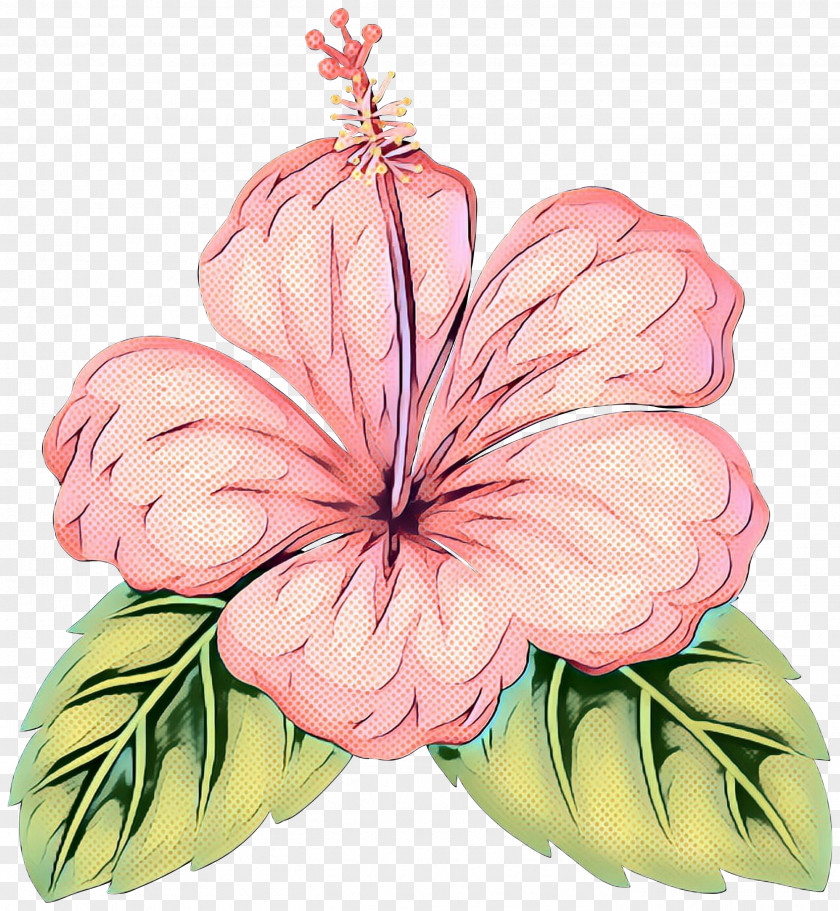Rosemallows Floral Design Cut Flowers PNG