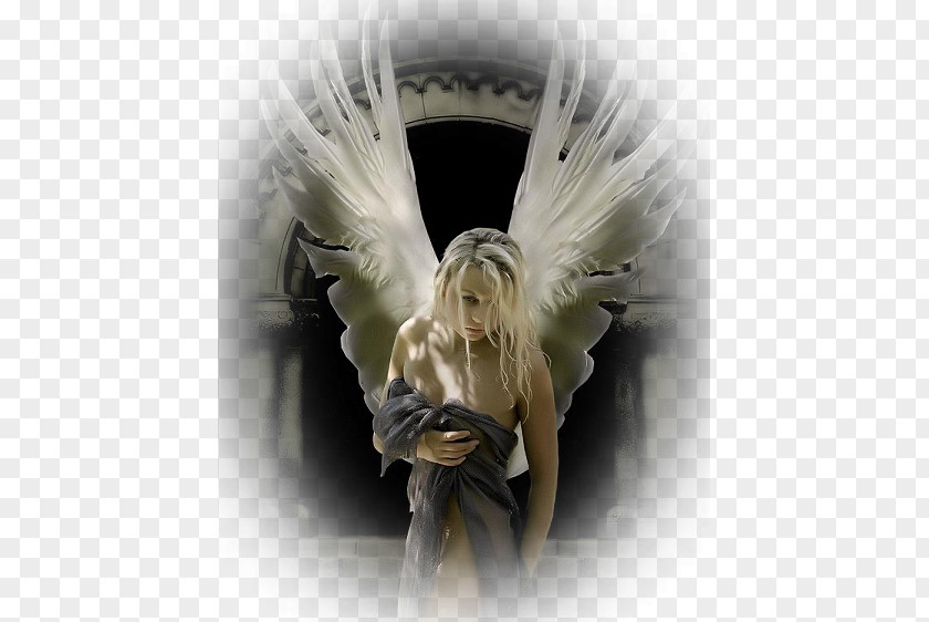 Angel Gfycat Giphy PNG
