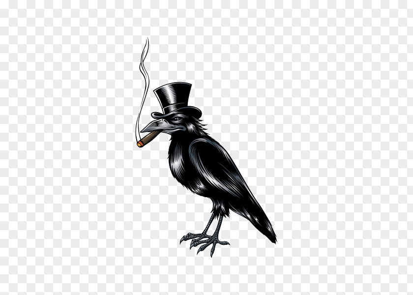 Bird Crow PNG
