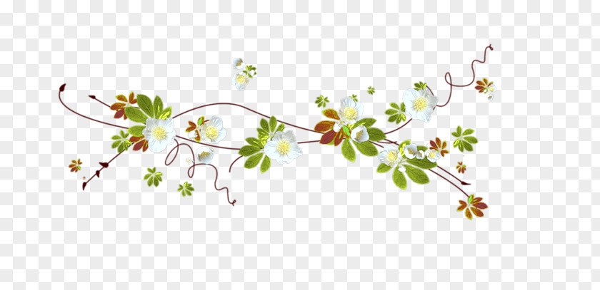 Cherry Blossom Floral Design Petal PNG